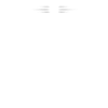 Mushing Dog Sledding