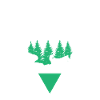 Mushing Dog Sledding Musher