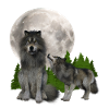 Loup cadeaux - Loup Tshirt