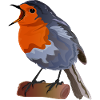 Robin Bird Illustration on Textile