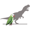 T-Rex shadow parrot