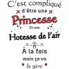 Princesse Et Hotesse