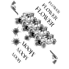 Flower moon