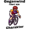 Rennrad Biker