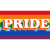 rainbow banner pride