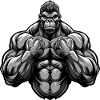 Gorilla Muscles Gymnase d’entraînement