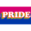 Bi Pride