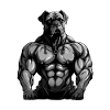 Dog Muscles Workout Gym