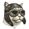 Chaviator