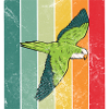 Quaker parrot retro