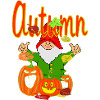 Autumnal garden magic with pumpkins