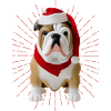 Bulldog Merry Christmas Dog Dogs