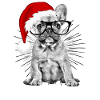 french Bulldog Christmas Dog Dogs