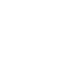 CEO Chief Everything Officer