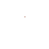 Dalmatian Dad Definition
