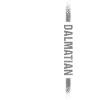 Dalmatian Us Flag