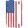 Dalmatian Us Flag