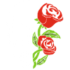 Life After Death