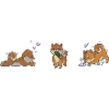 shiba 3 rot