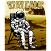 ASTRONAUT STAY CALM