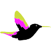 Hummingbird Bird 1