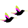 Hummingbird Birds
