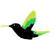 Hummingbird Bird