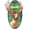 Junger Hirsch