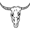 Ox Skull