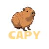 Funny Capybara Sayings