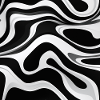 Zebra Mirage
