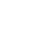 Pirate Skull