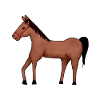 Ranch Far West Western équitation chevaux Cowboy