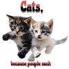 Cats