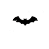 Bat Night
