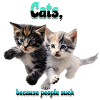 Cats,