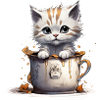 Bébé chat