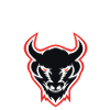 bullfight