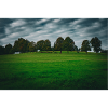 Land and trees