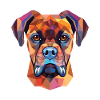 Deutsche Boxerhunderasse Aquarell Illustration