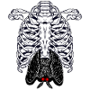 Mothman Skeleton Cryptid Cryptozoology