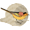 Oiseau