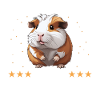 Guinea pig