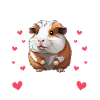 Guinea pig