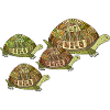 Turtles