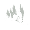 Schwarzwaldbub