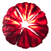 sanguine
