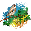 Bunter Vogel