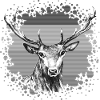Cerf