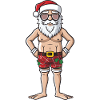 Santa Claus Holiday Santa